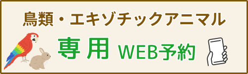 鳥類・エキゾチックアニマルはこちらからWEB予約が可能です