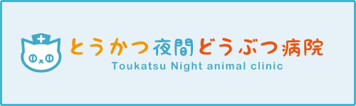 当院の電話がつながらなかった場合、夜間の犬猫の診療に関してはとうかつ夜間動物病院をご紹介しています。